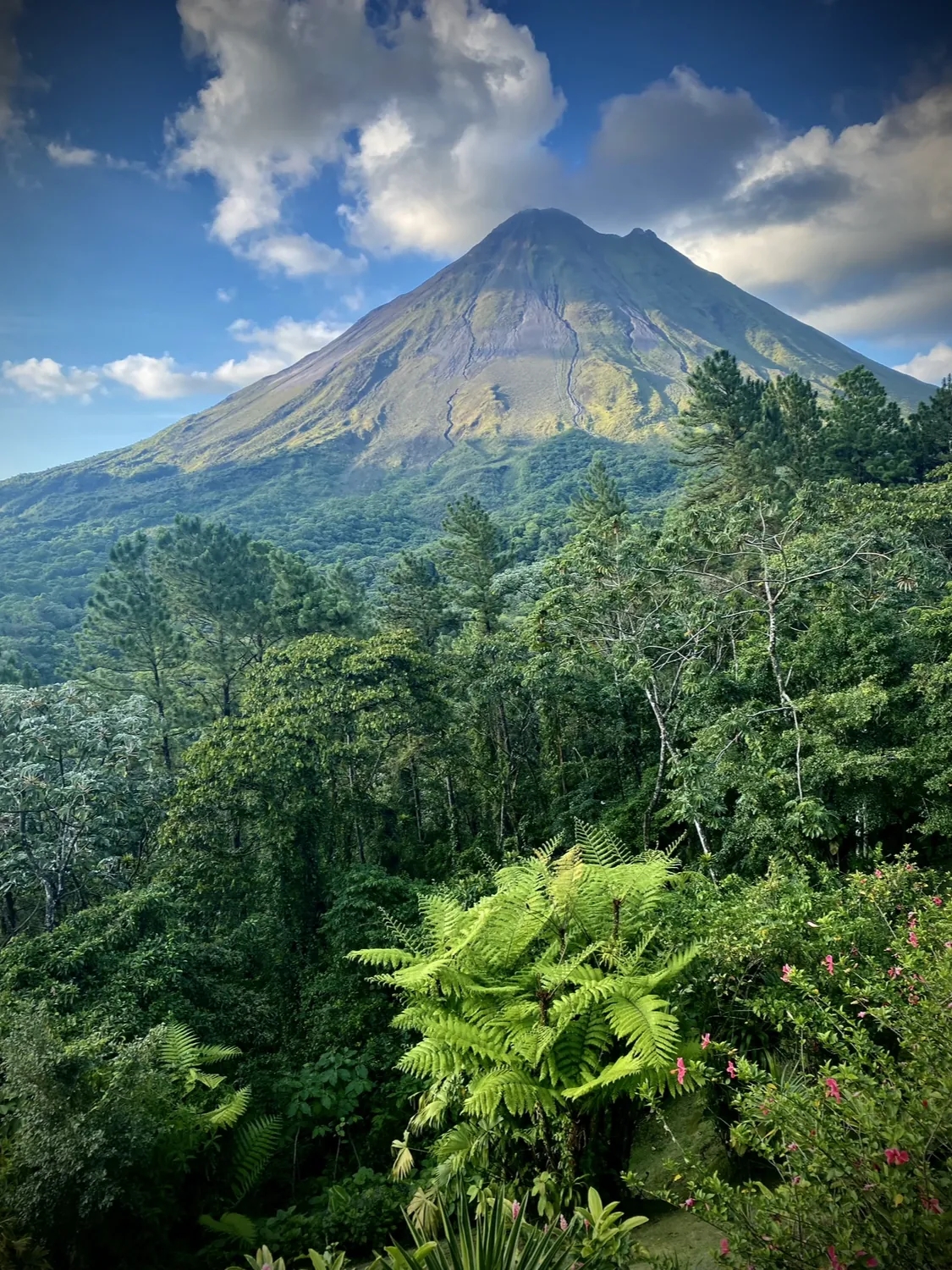 Vue sur le majestueux volcan Arenal