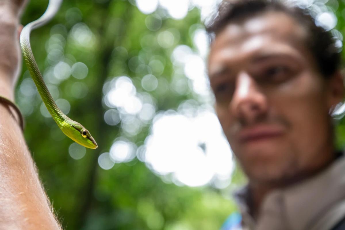 Lucas Boyat with a green snake