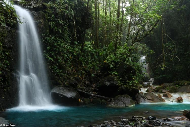 Quebrada Gata waterfall within lush vegetation